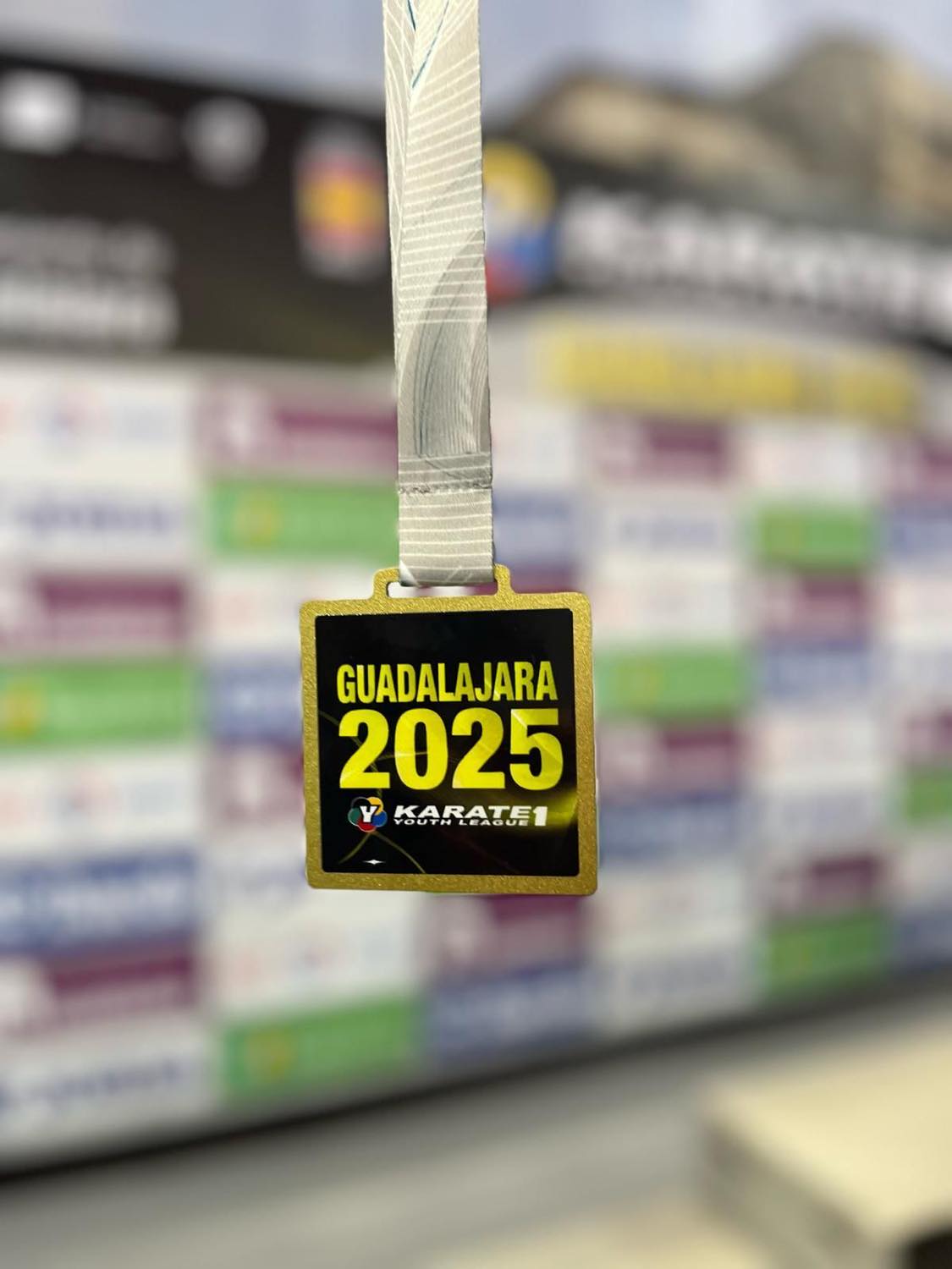 amel la medaille