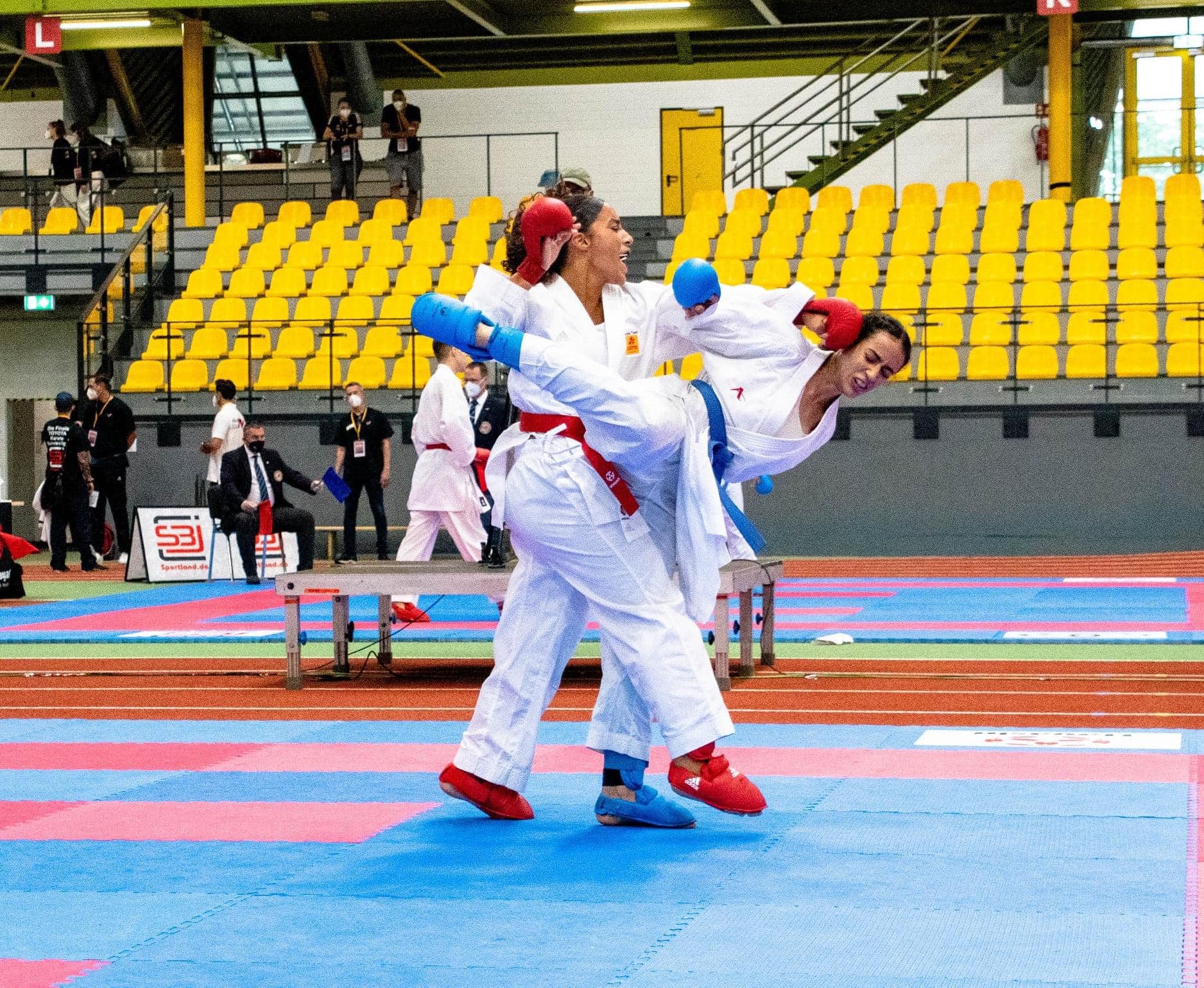Nesrine combat_n